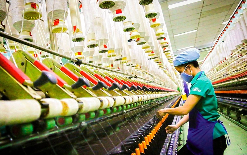 Thương hiệu Việt: Hành trình chinh phục người tiêu dùng nội địa